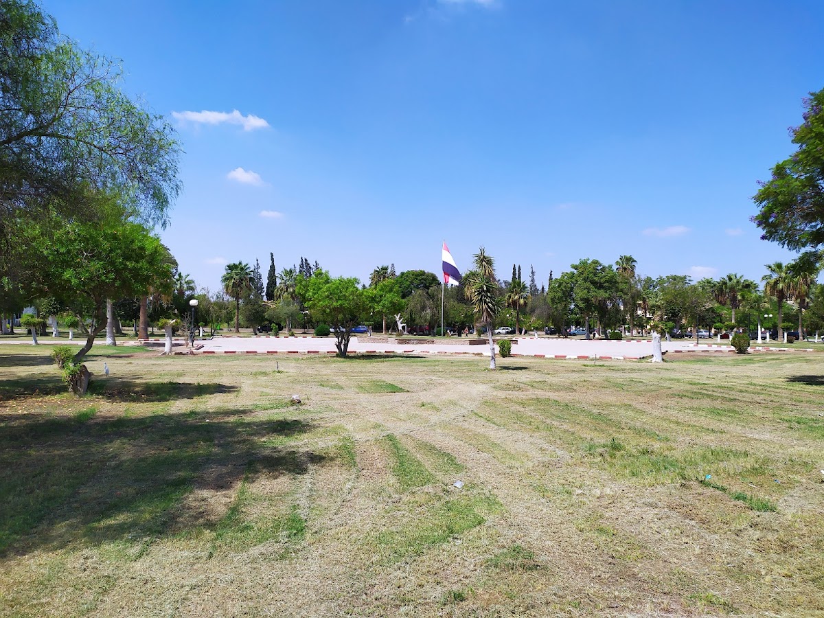 Suez Canal University photo 5