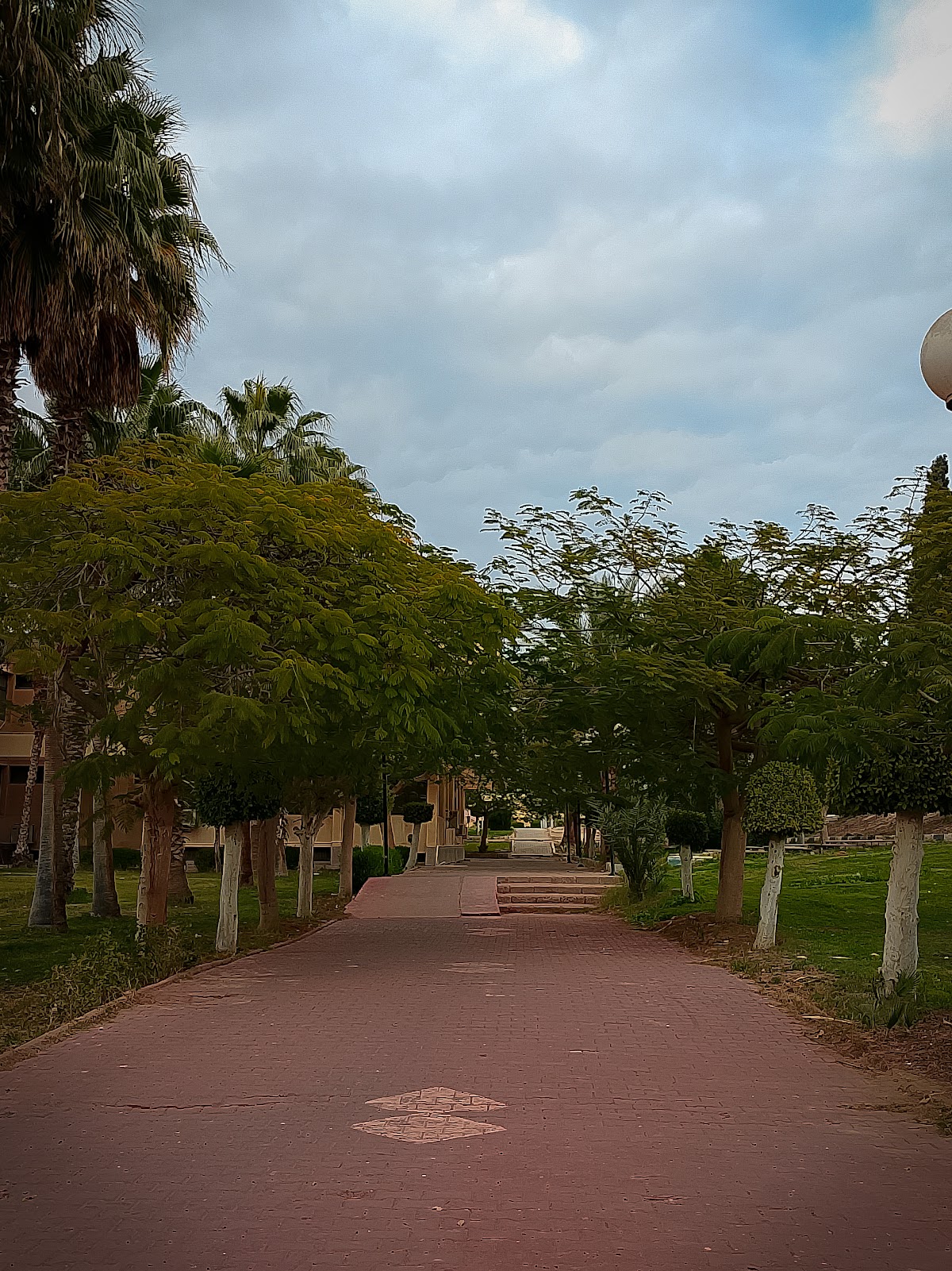 Suez Canal University photo 8