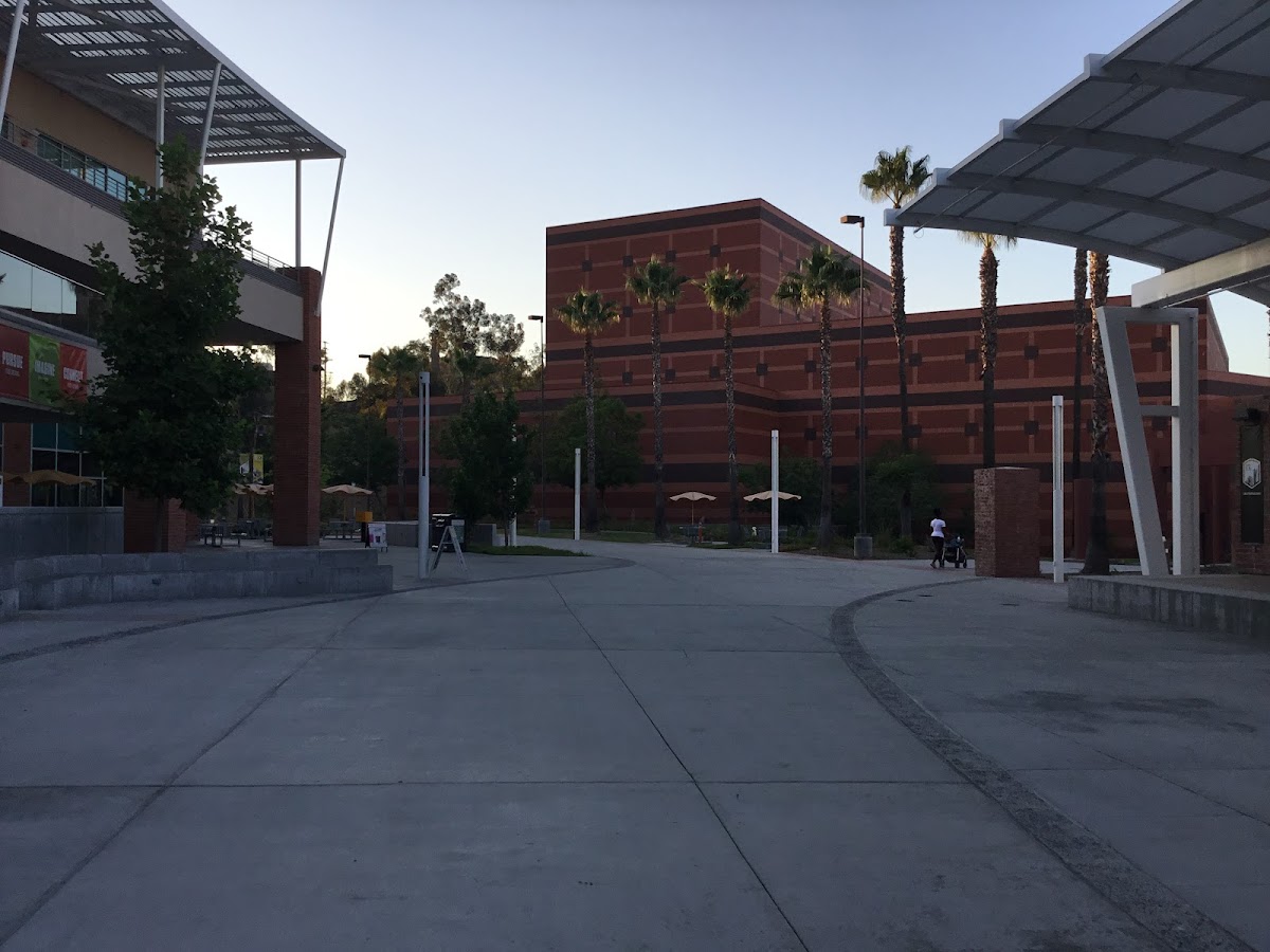 State University 1624 photo 4