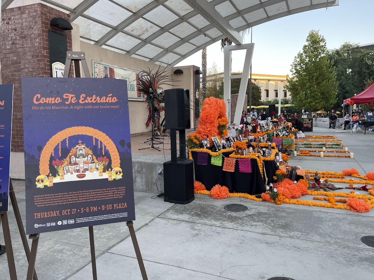 State University 1624 photo 6