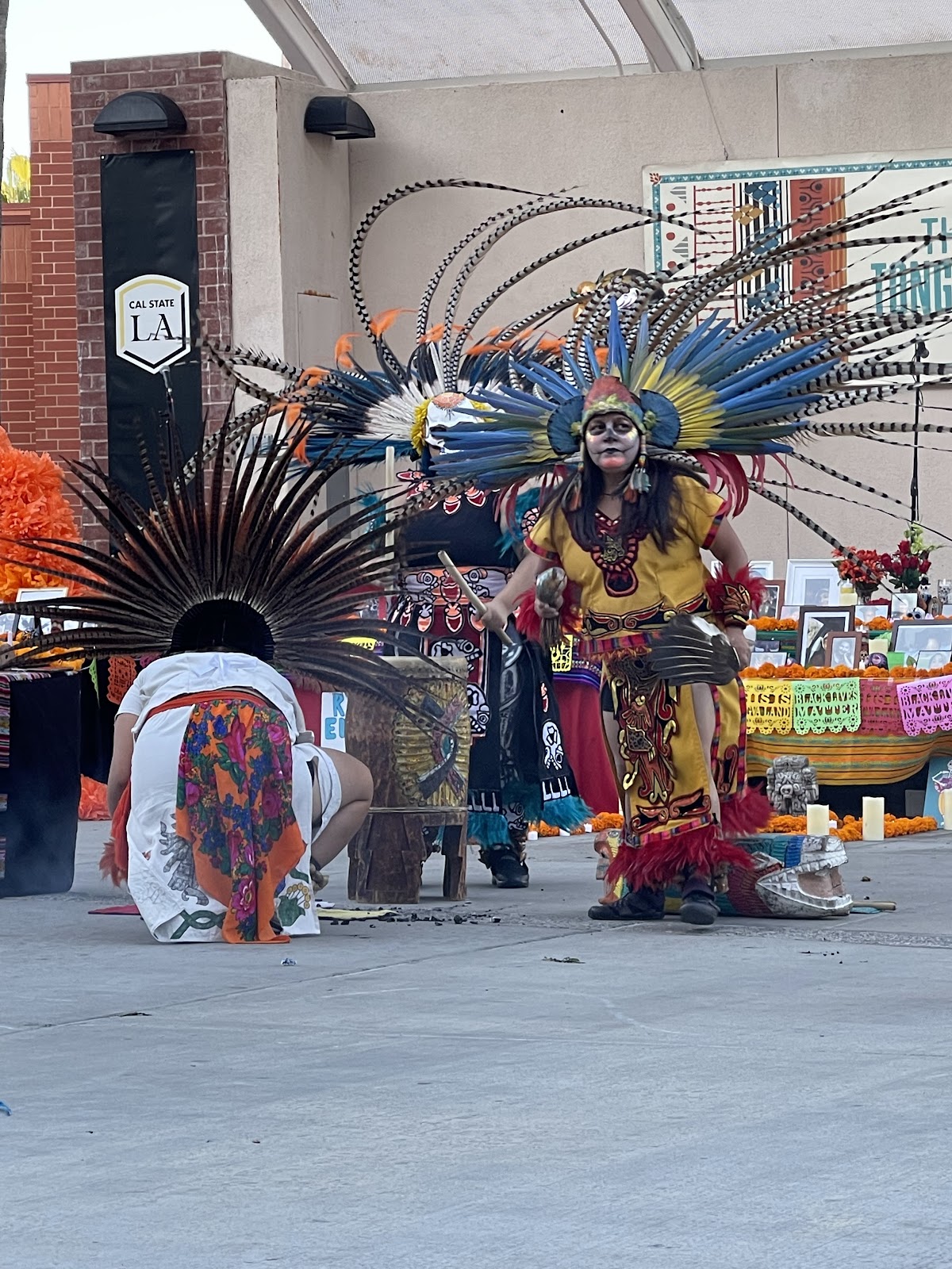 State University 1624 photo 7