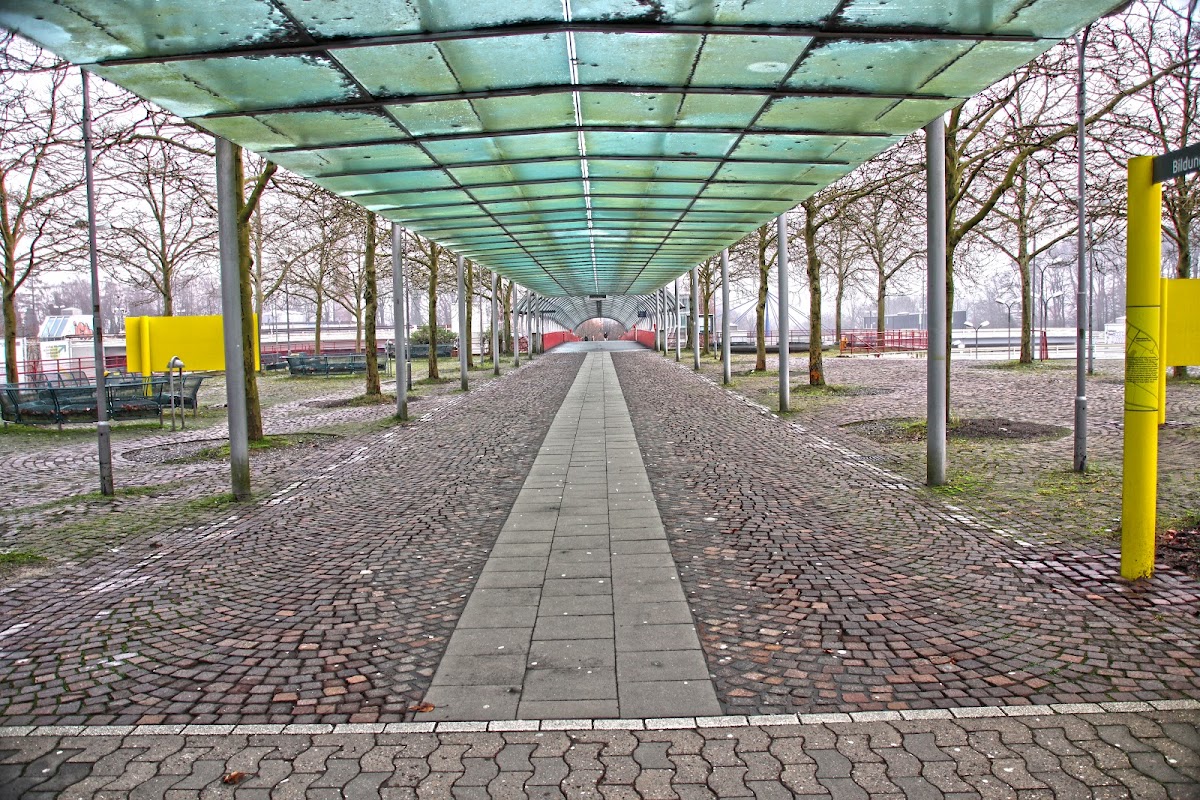 University of Bielefeld photo 3