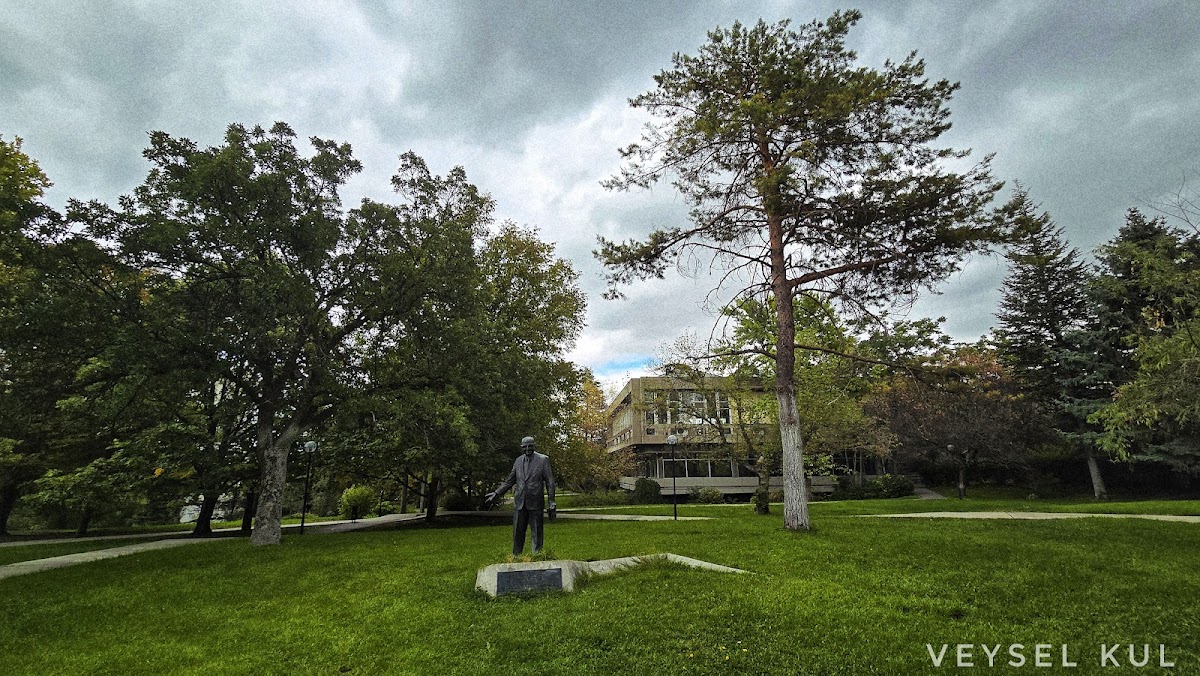 Middle East Technical University (METU) photo 1