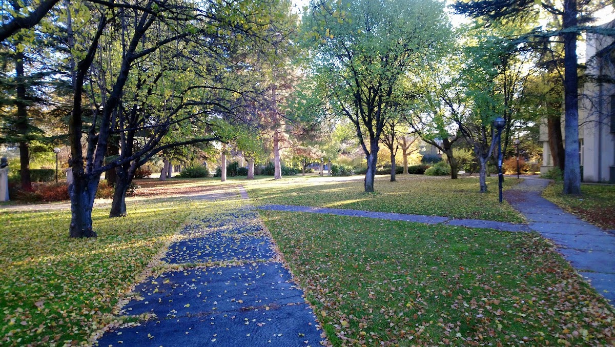 Middle East Technical University (METU) photo 4