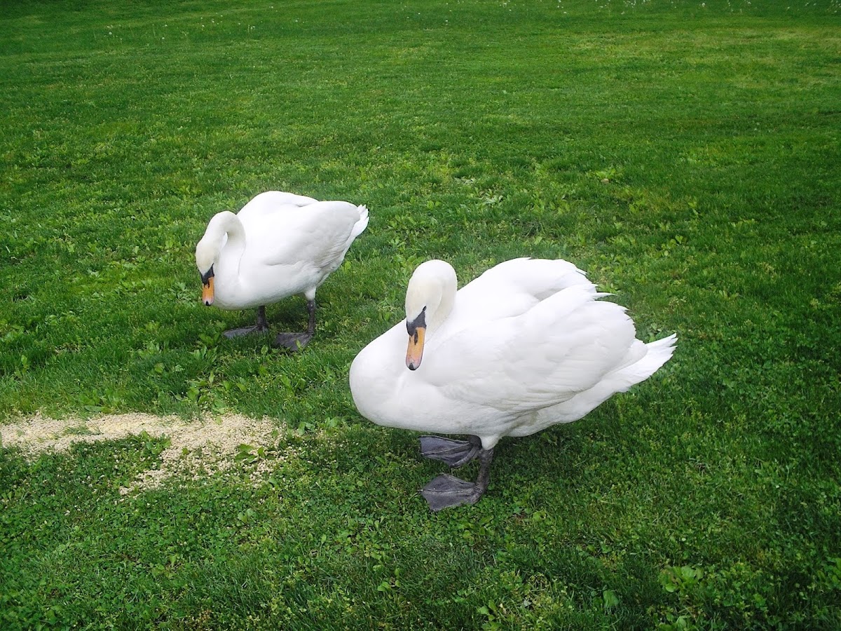 Millersville University of Pennsylvania photo 6