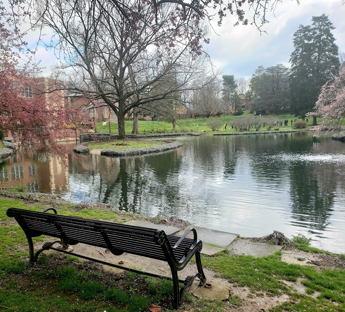 Millersville University of Pennsylvania photo 8