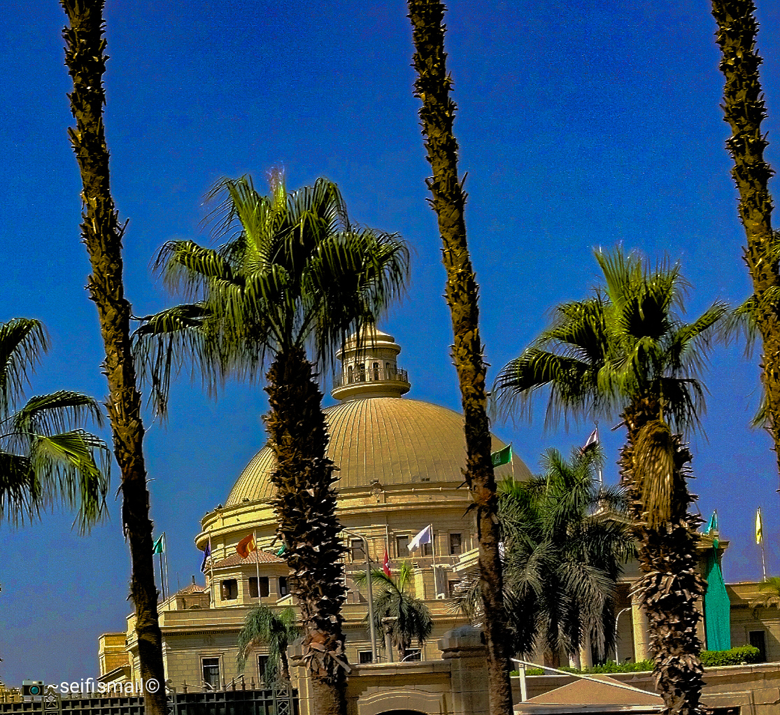 Cairo University photo 6