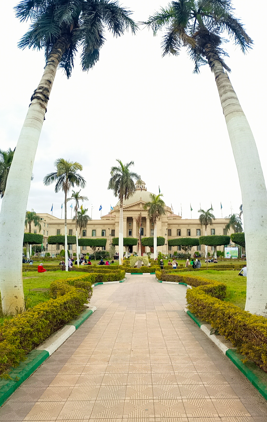 Cairo University photo 7