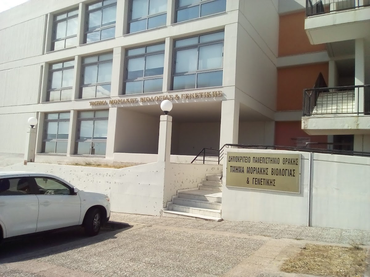 Democritus University of Thrace (Alexandroupoli) photo 5