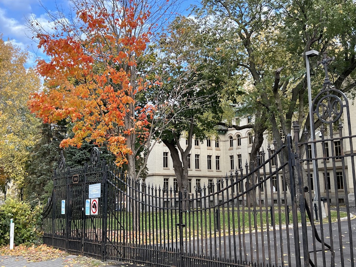 Collège Dawson photo 6