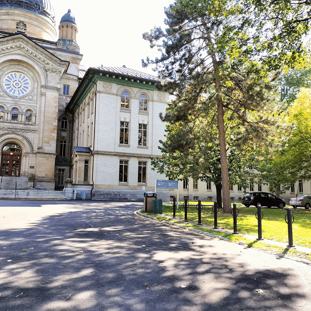 Collège Dawson photo 7