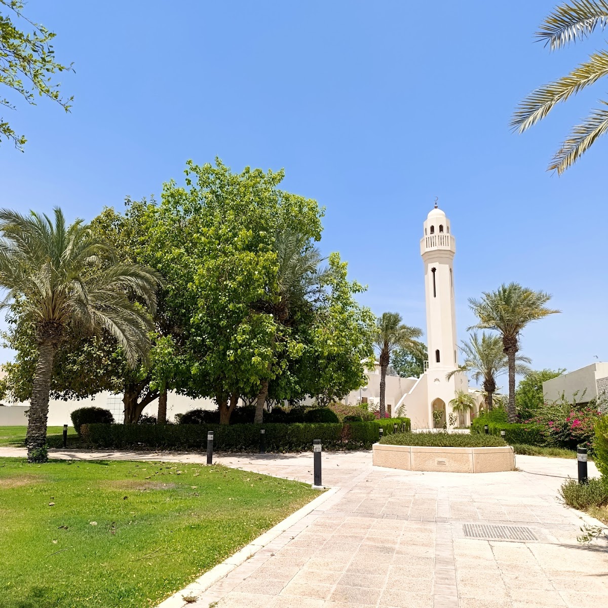 Qatar University photo 5