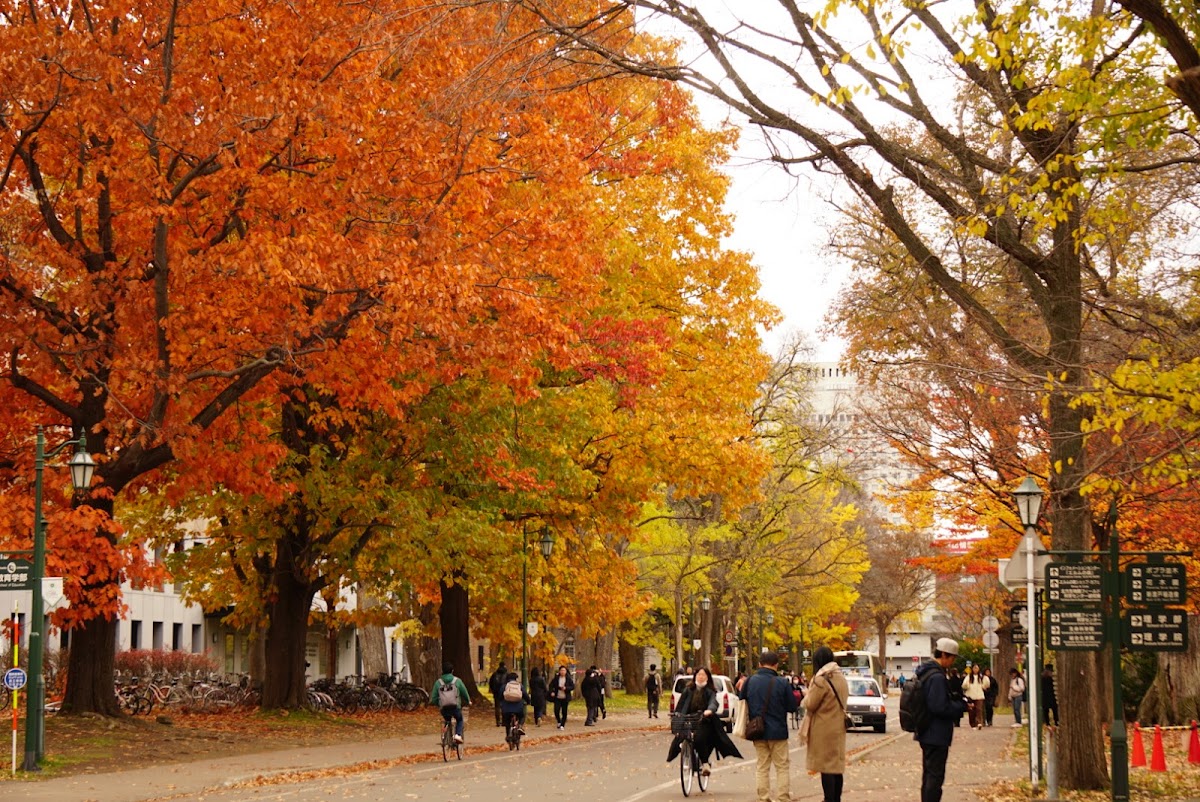 Hokkaido University photo 2
