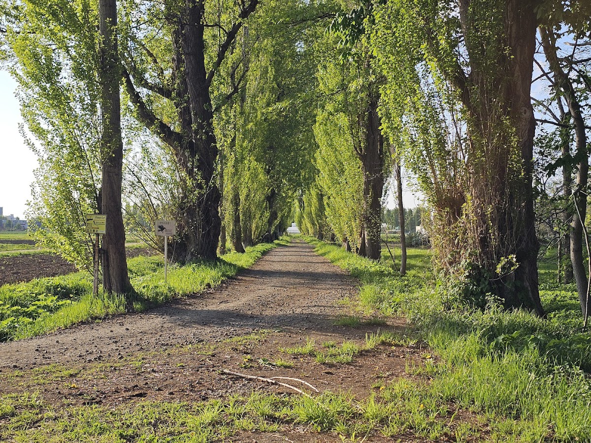 Hokkaido University photo 6