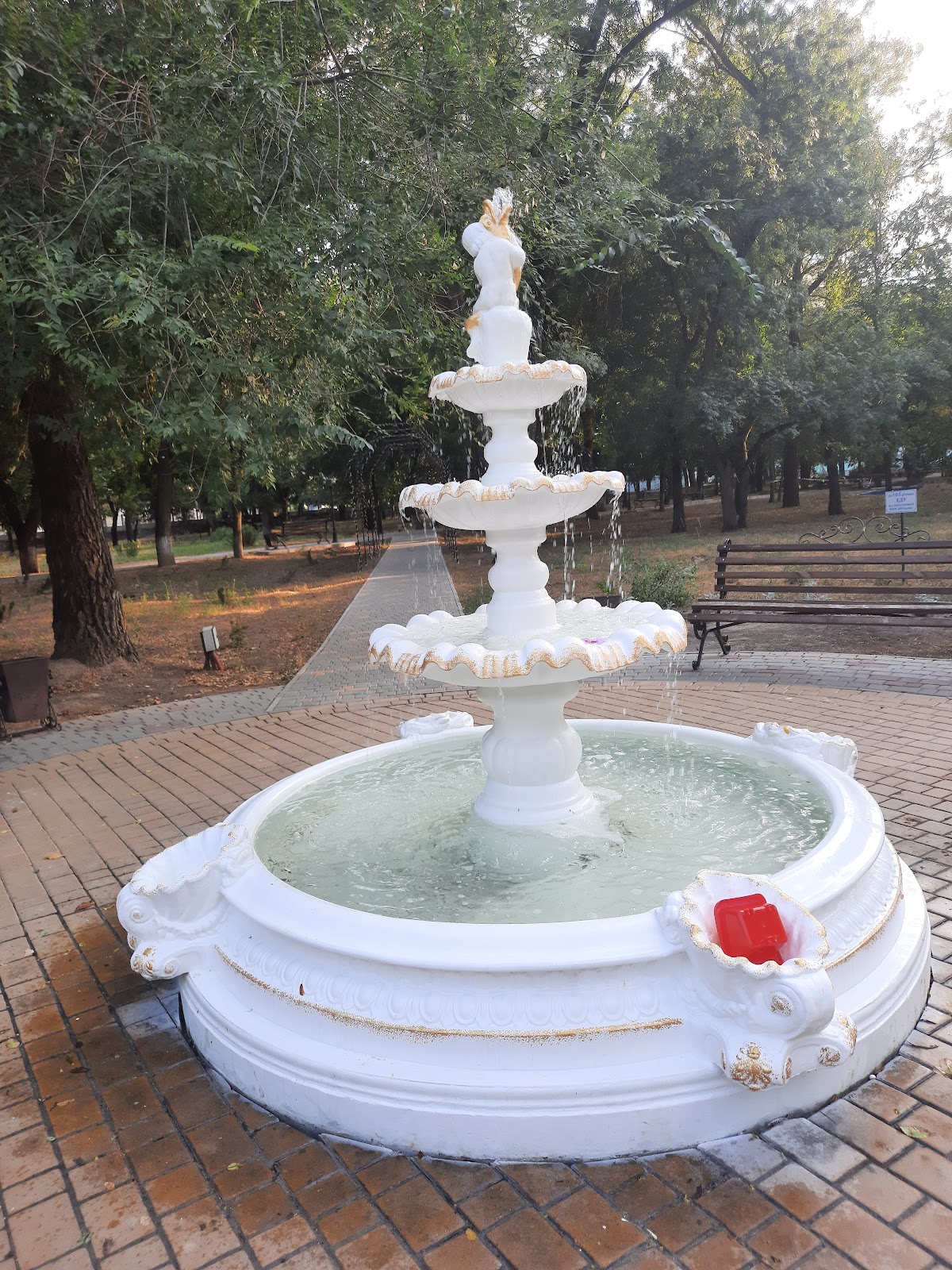 Kherson State University photo 7