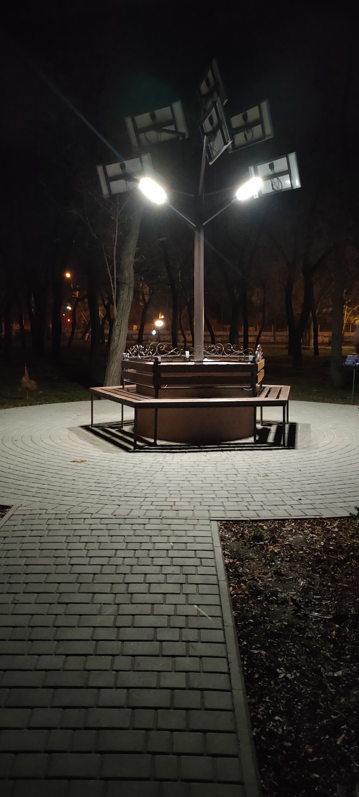 Kherson State University photo 9
