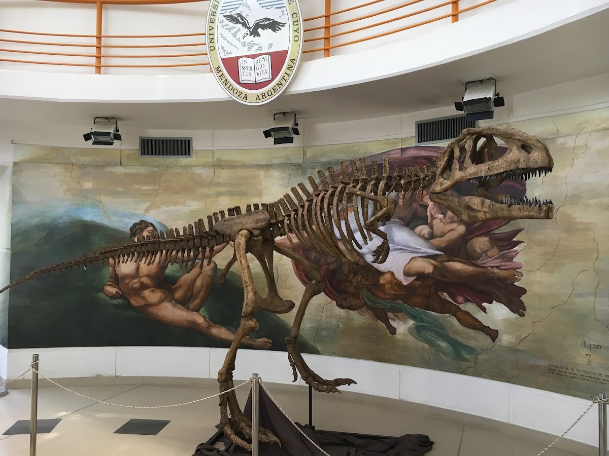 National University of Cuyo photo 5