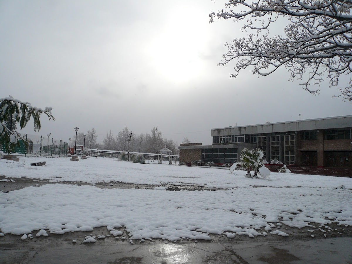 National University of Cuyo photo 6