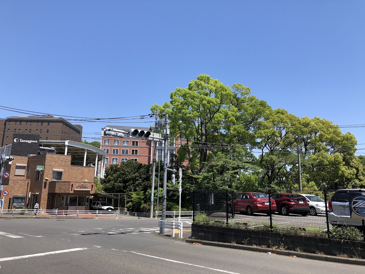 Tamagawa University photo 7