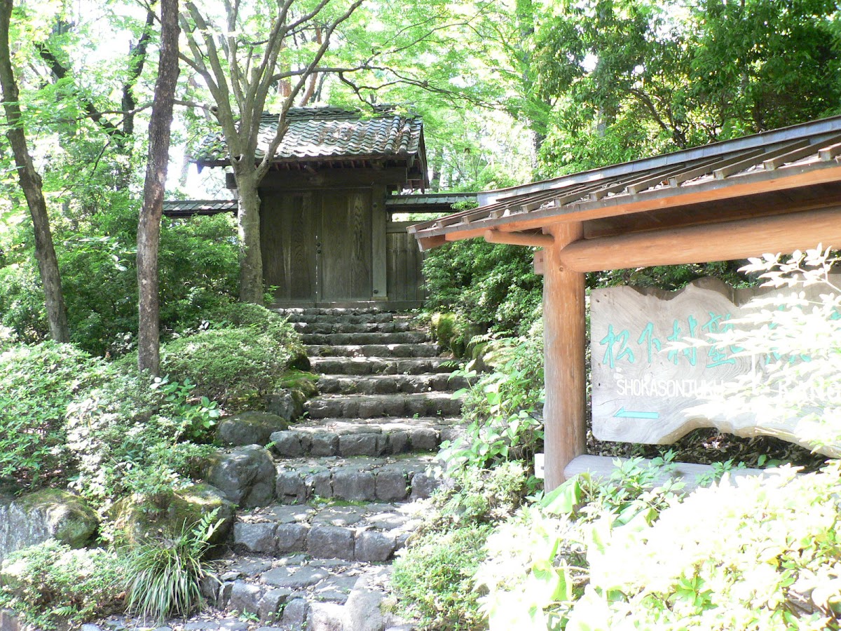 Tamagawa University photo 8