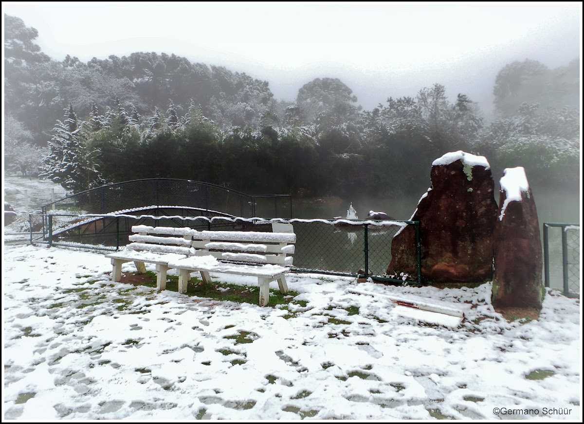 University of Caxias do Sul photo 4