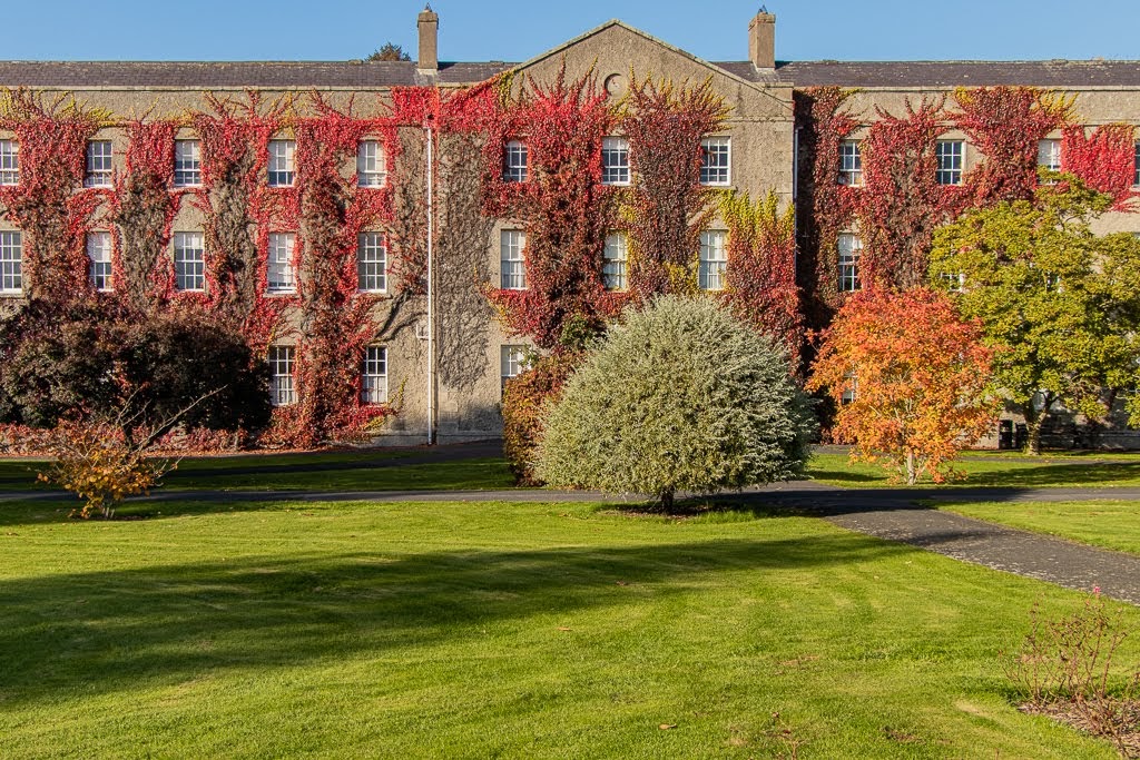 Maynooth University