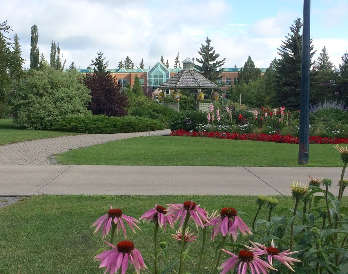 Olds College photo 7