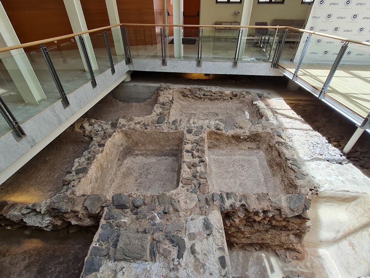 University of Malaga photo 3