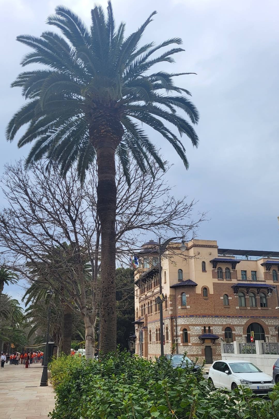 University of Malaga photo 9