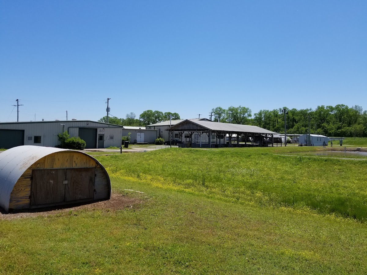 University of Arkansas Pine Bluff photo 6