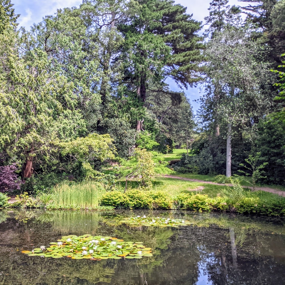 University of Exeter photo 6
