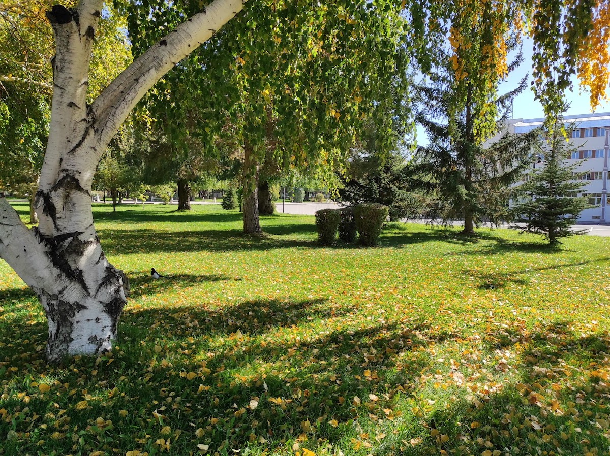 Atatürk University photo 3