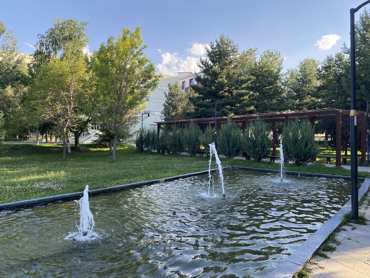 Atatürk University photo 6