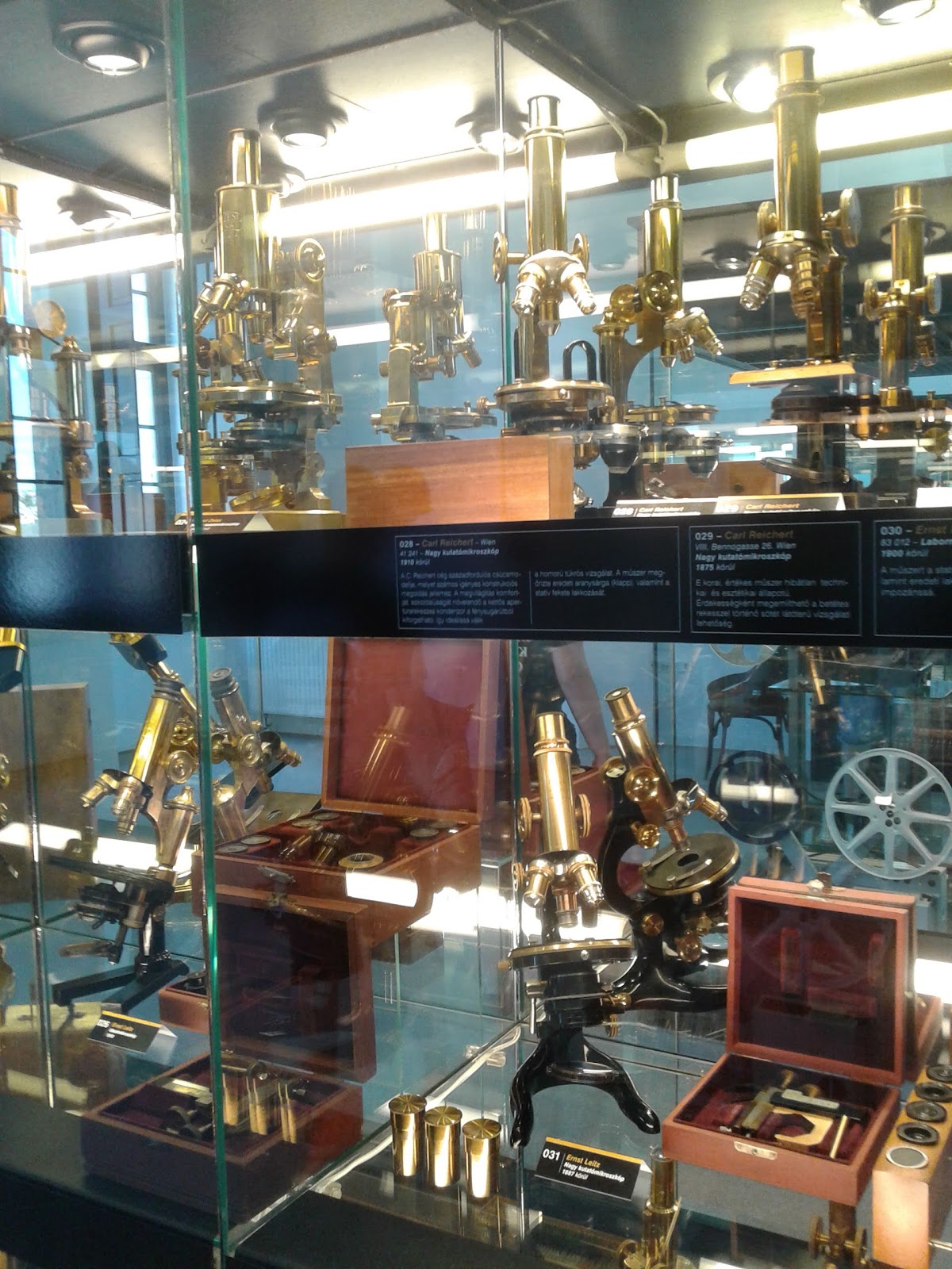 Eszterházy Károly Catholic University photo 8