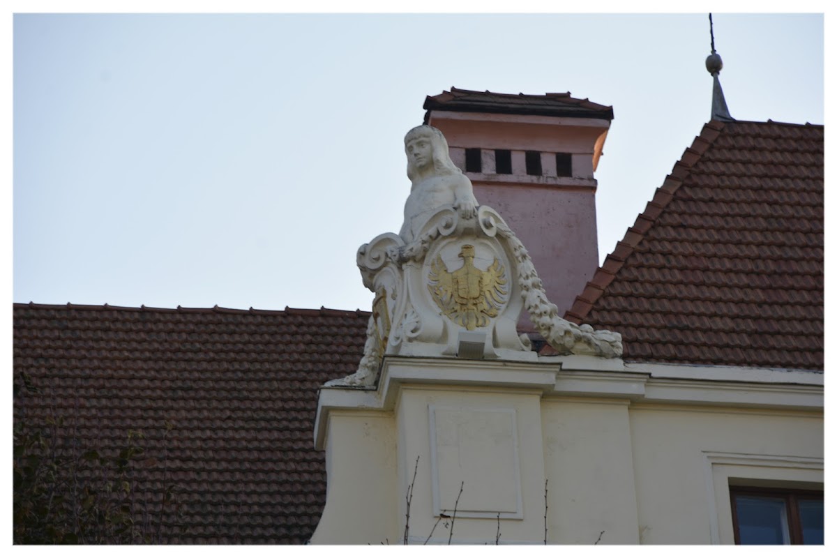 Bukovinian State Medical University photo 3