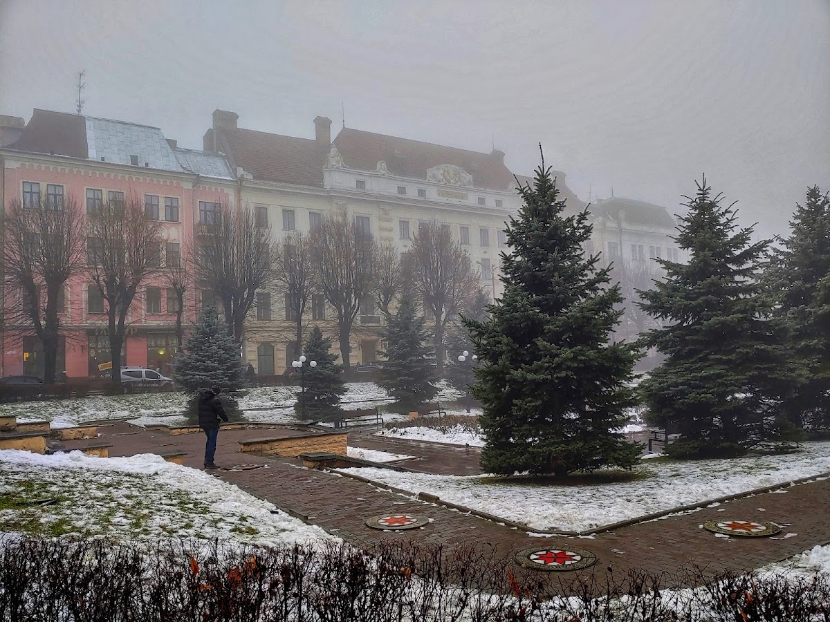 Bukovinian State Medical University photo 6