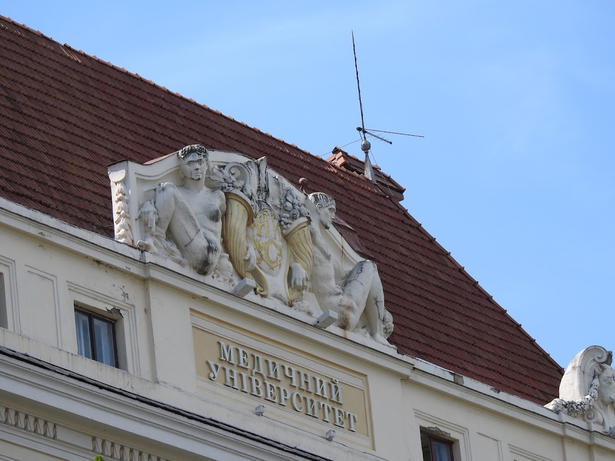 Bukovinian State Medical University photo 7
