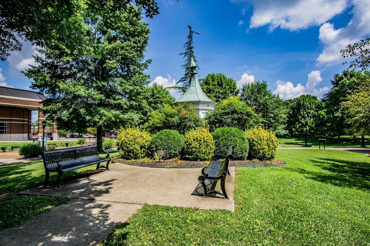 Austin Peay State University photo 5
