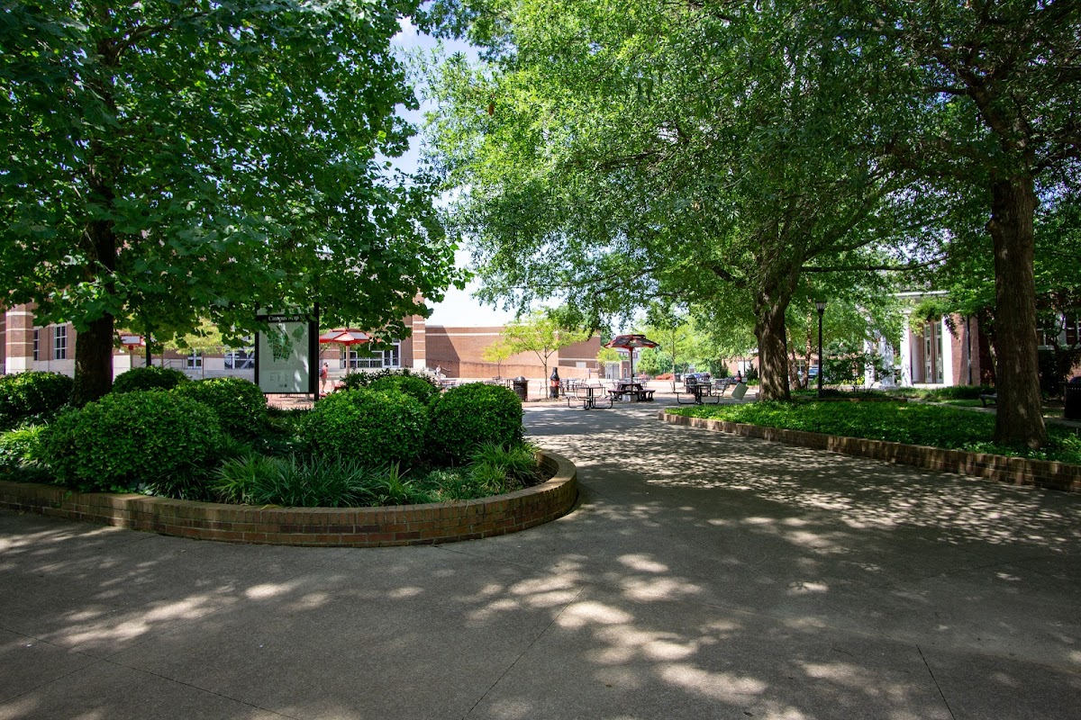 Austin Peay State University photo 6