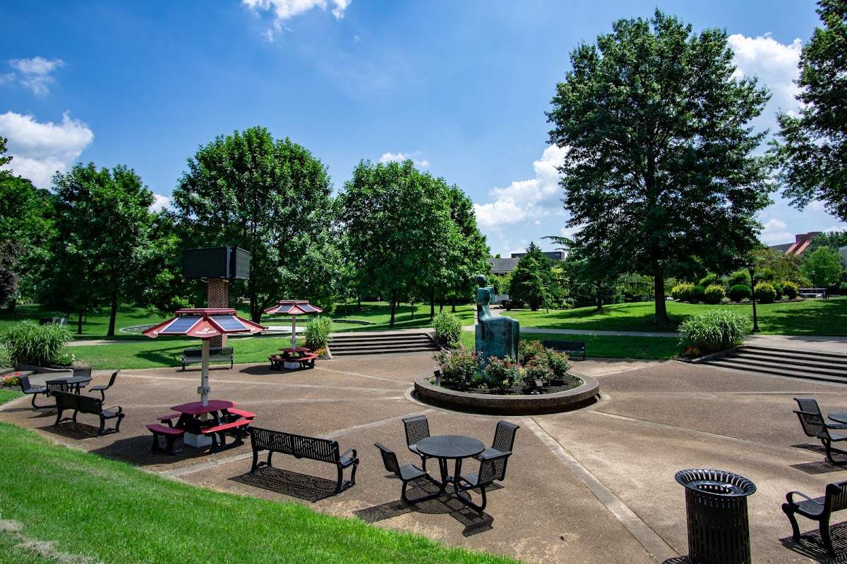 Austin Peay State University photo 7