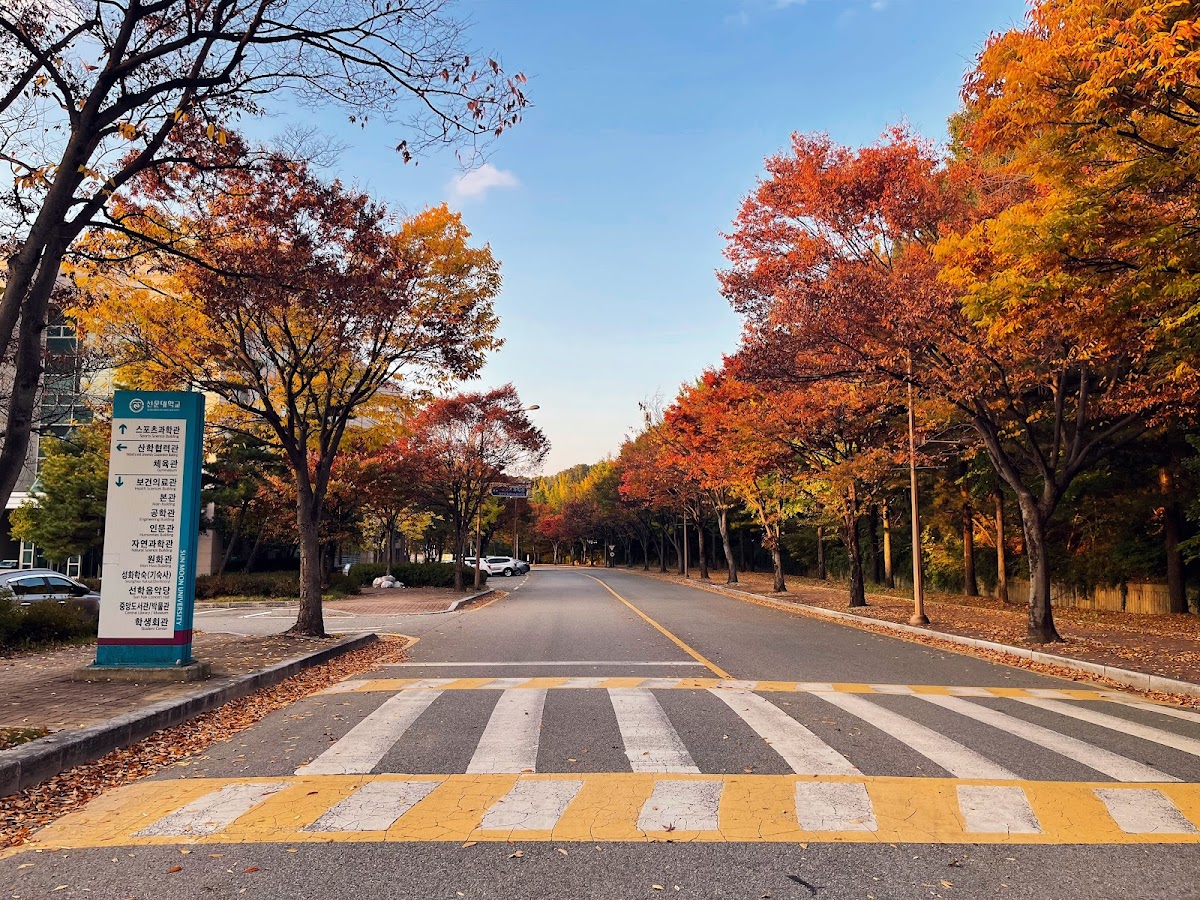 Sun Moon University photo 7