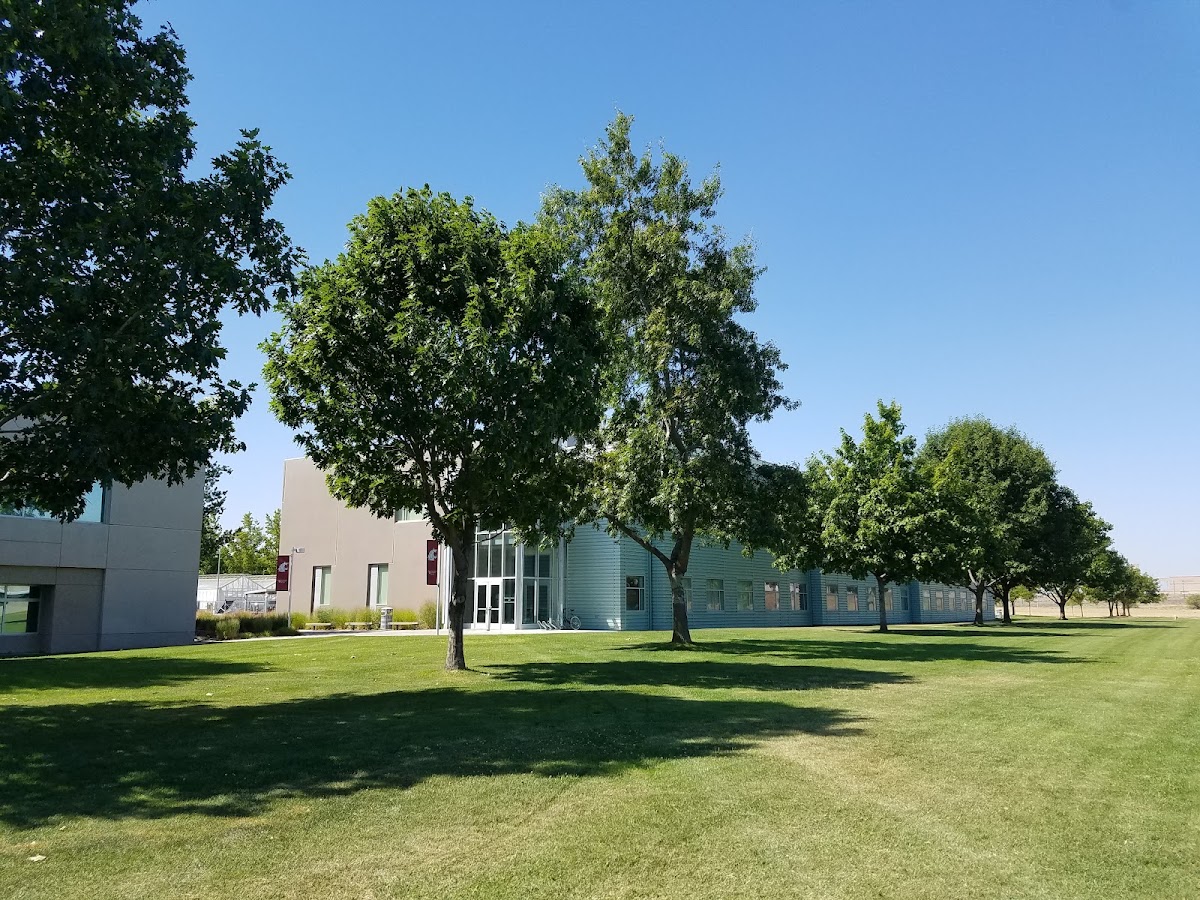 Washington State University Tri Cities photo 4