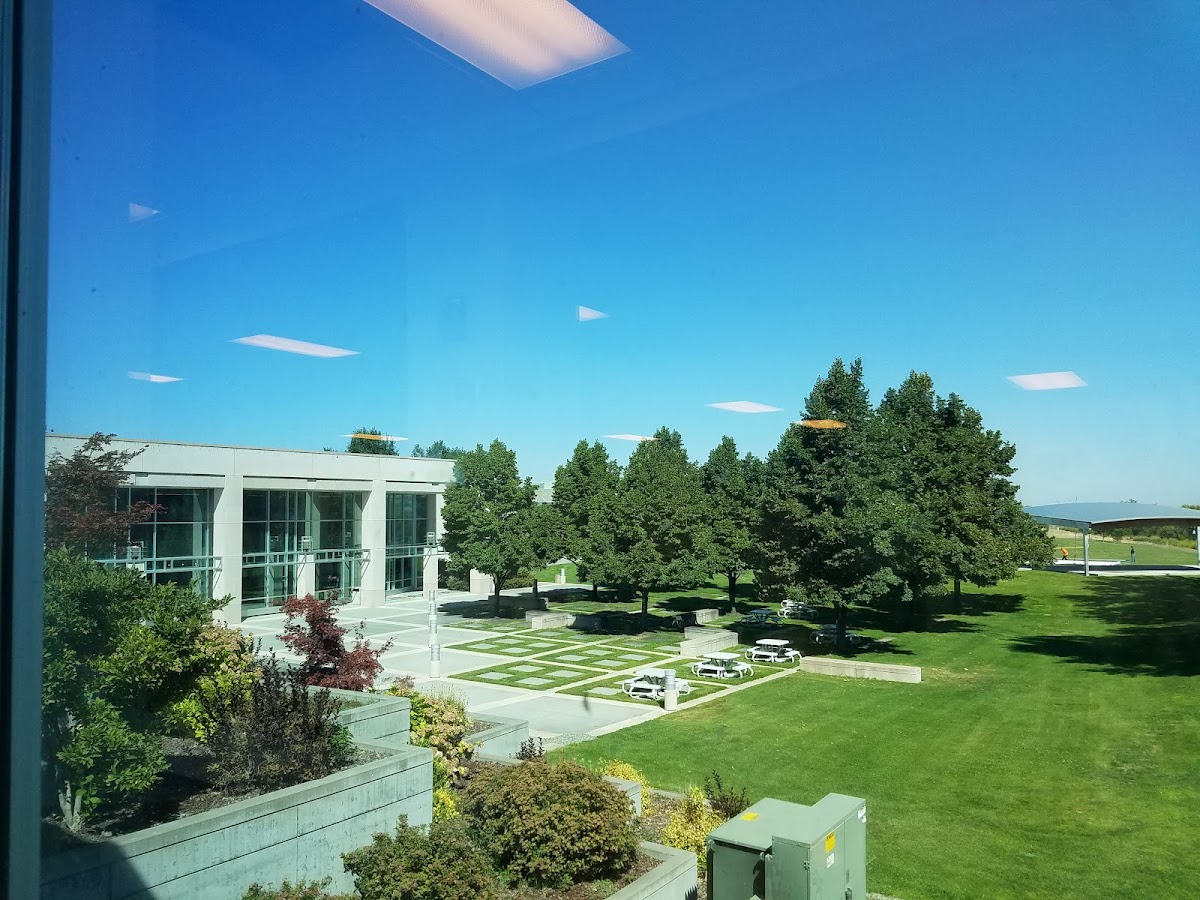 Washington State University Tri Cities photo 5
