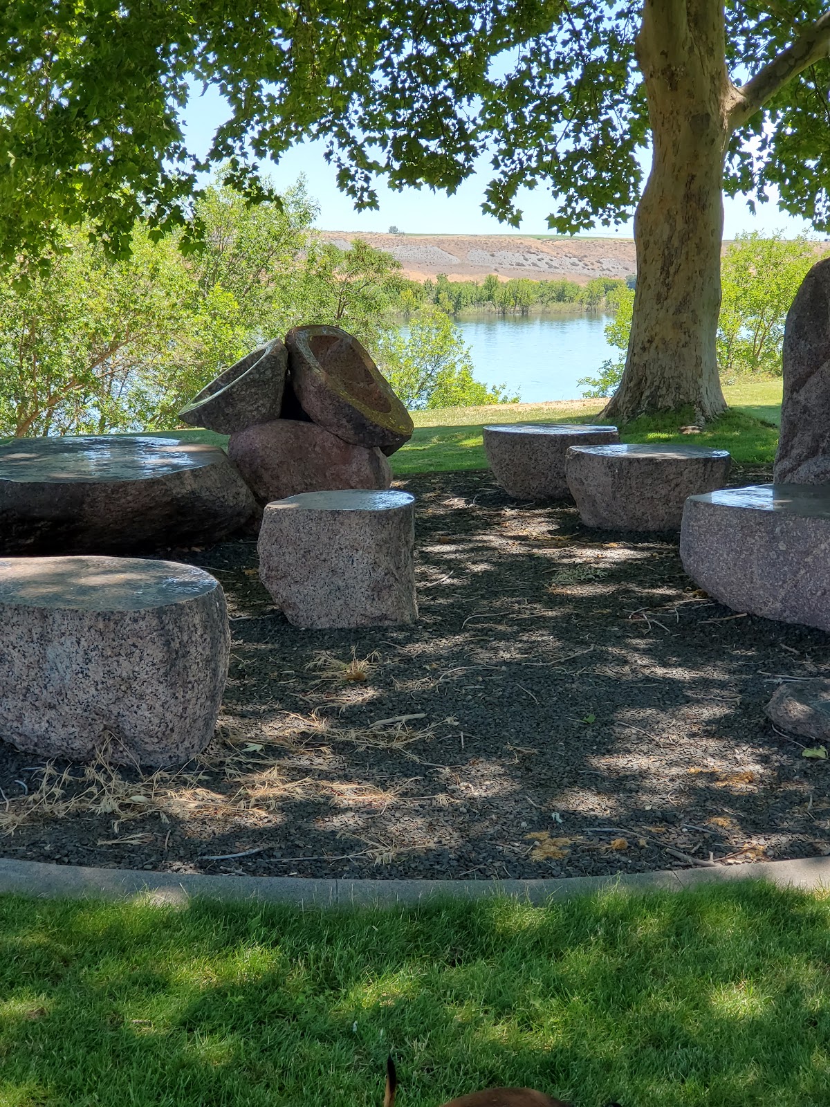 Washington State University Tri Cities photo 8