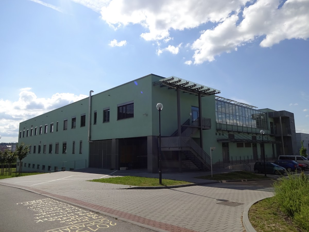 Mendel University in Brno photo 4