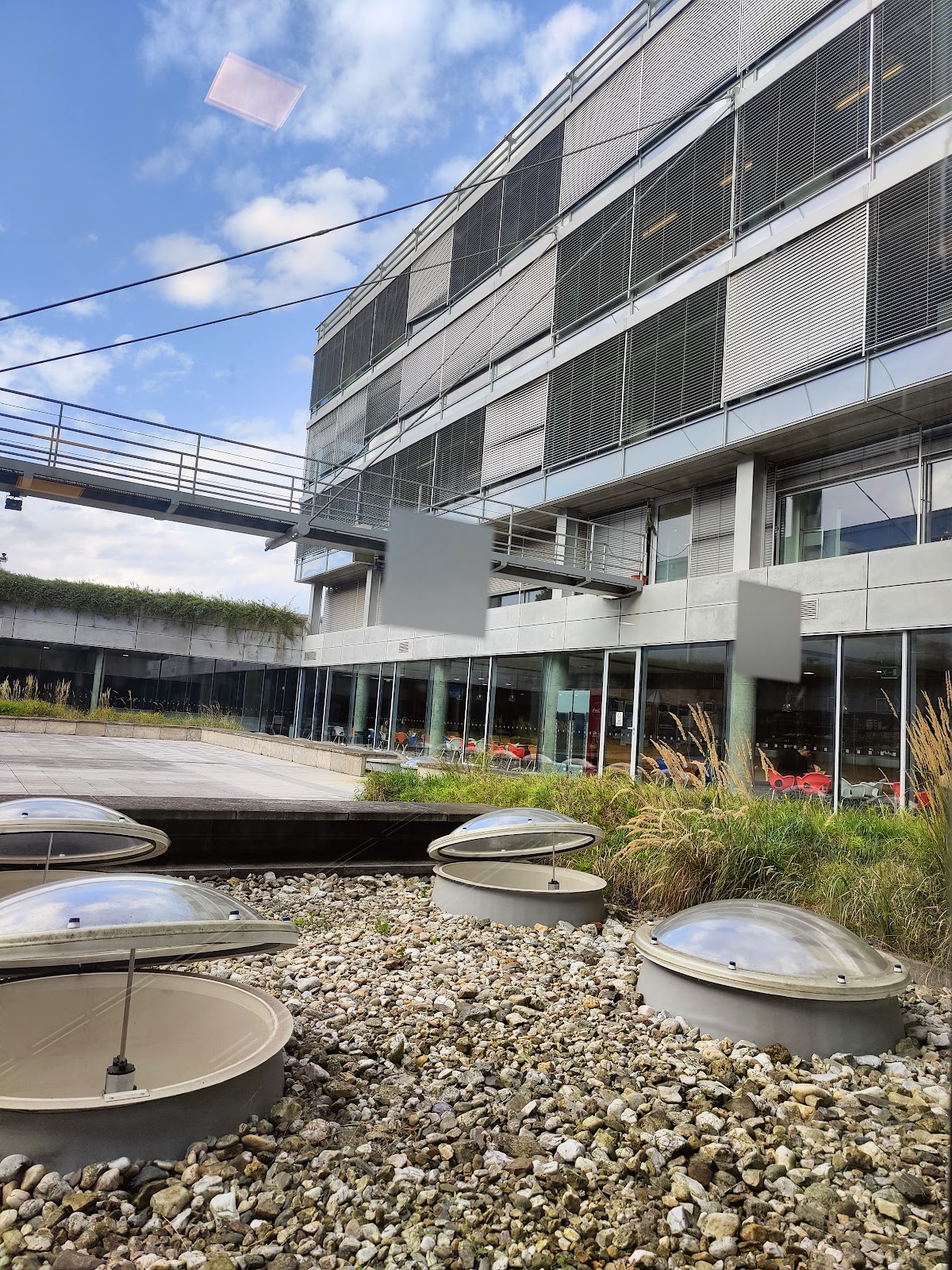 Mendel University in Brno photo 8