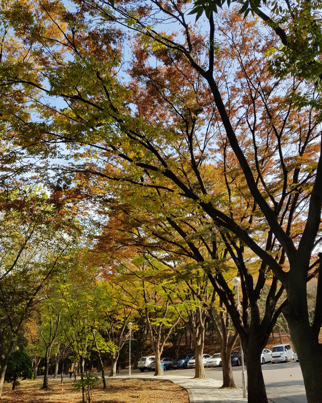 Suwon University photo 9