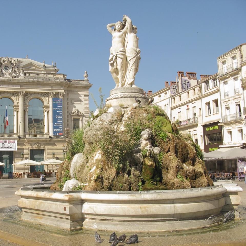 Université de Montpellier photo 8