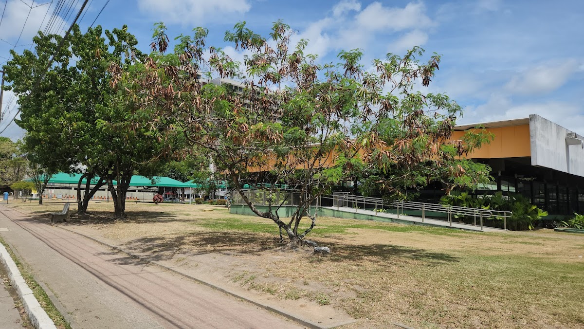 Federal University of Pernambuco photo 1