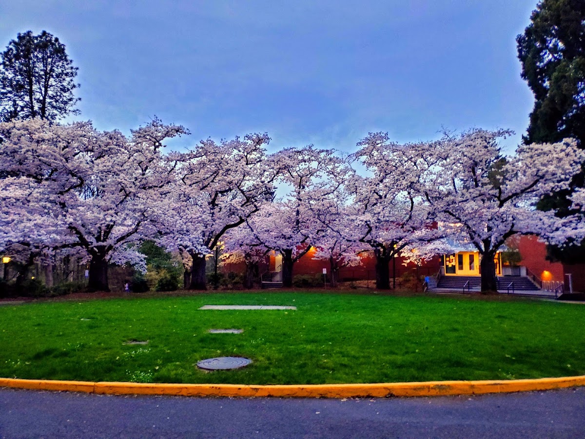 Reed College photo 2